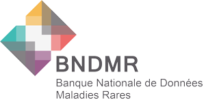 LogoBNDMR_site.png